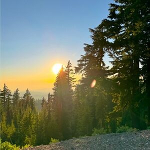 Meet your Posher, Sofia